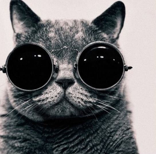 Прямая линия - тест валидации вопроса