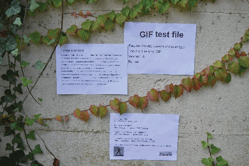 ФИО должностного лица