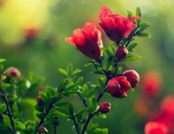 Изображение2