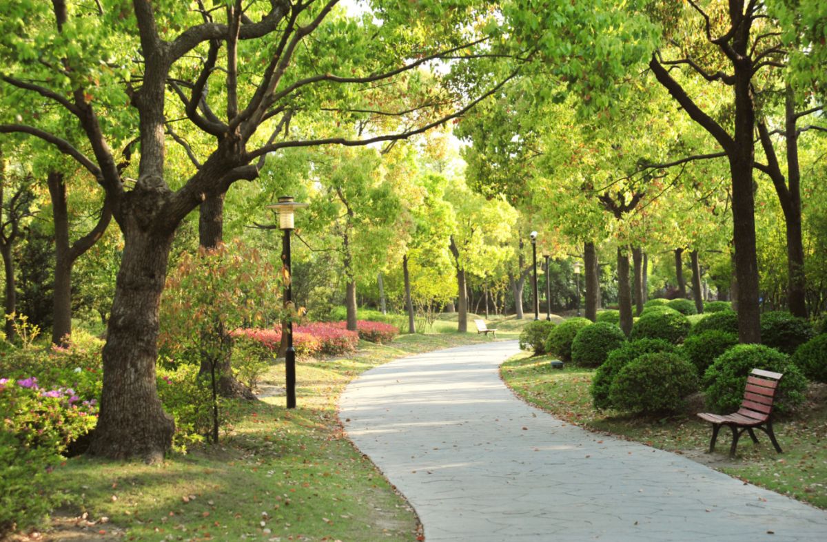 Фото для мероприятия